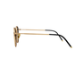 DAX Eyewear: Luna