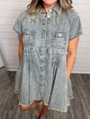 "What I Got" Denim Button Down Dress